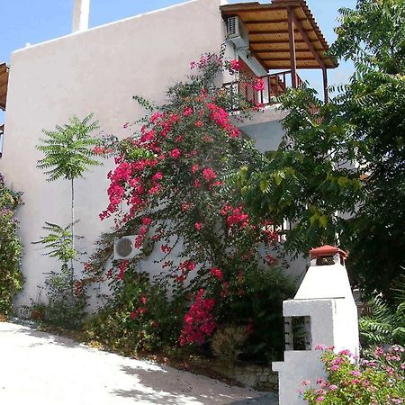 123 Soleil Studios Agia Marina  Exteriör bild