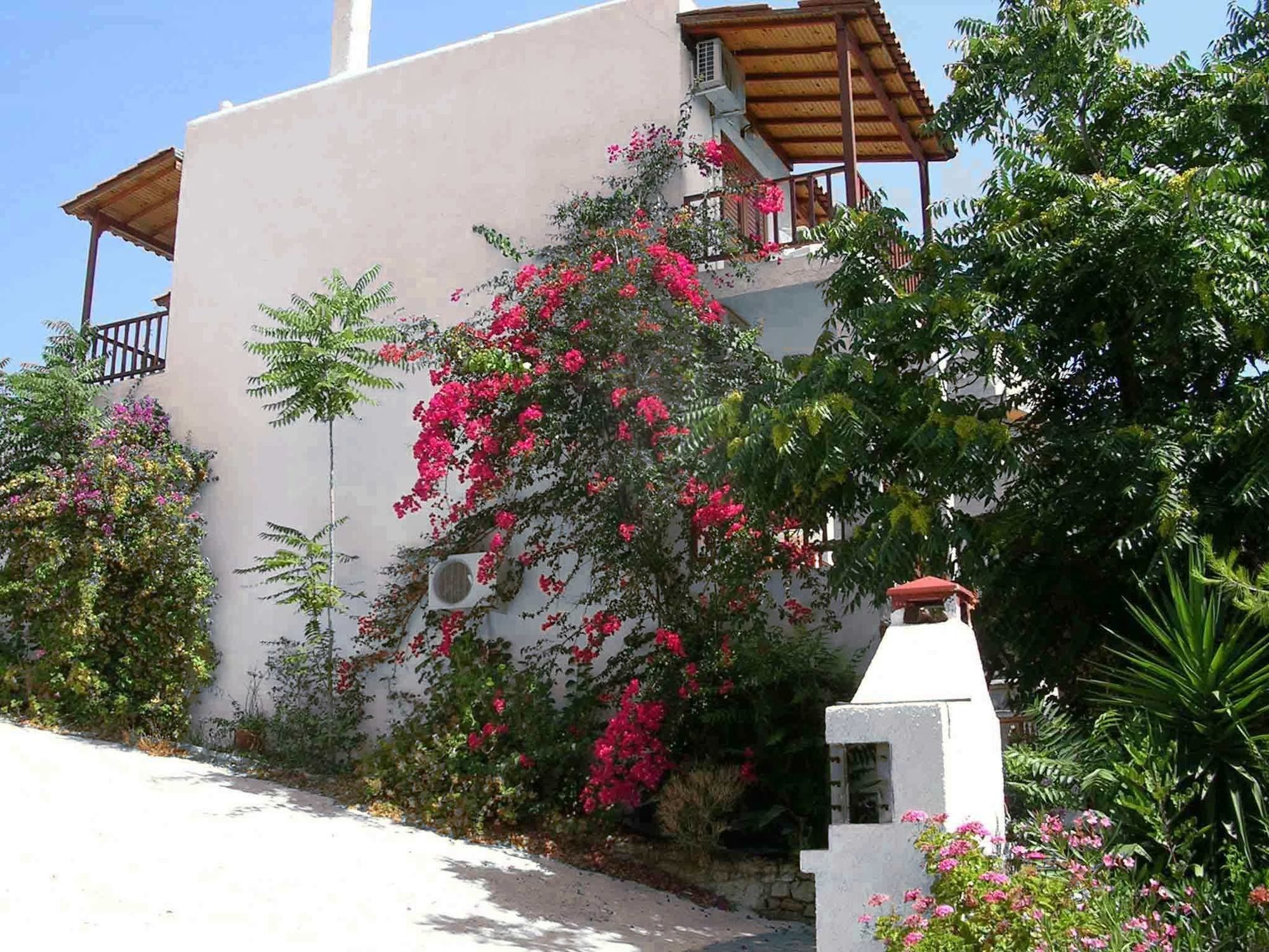 123 Soleil Studios Agia Marina  Exteriör bild